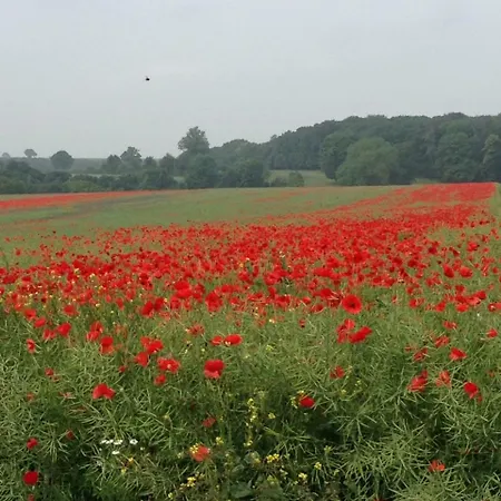 La Caroline Hotel 2*