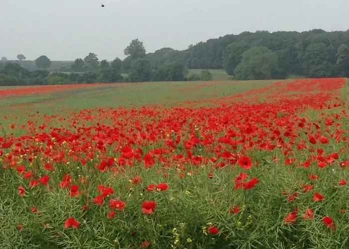 La Caroline Hotel 2*